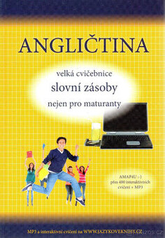 Angličtina : velká cvičebnice slovní zásoby pro maturanty