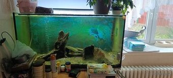 Daruji za odvoz Akvario