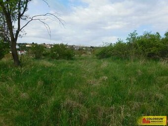 Znojmo, zahrada 473 m2, elektřina, voda, ovocné stromy - zah