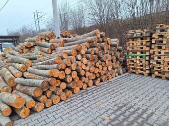 Palivové dřevo tvrdé