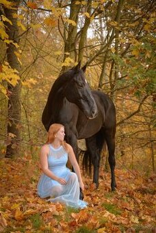 Nabízím pronájem hodného valacha