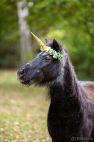 Jednorožčí čelenky na koně - 1