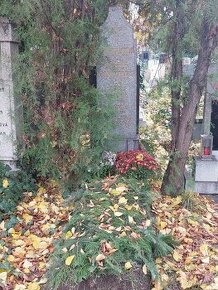 Hrobové místo na Vinohradském hřbitově v Praze - 1