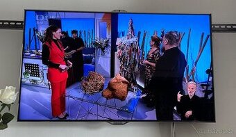 Lcd Samsung UE40ES8000 (na díly)
