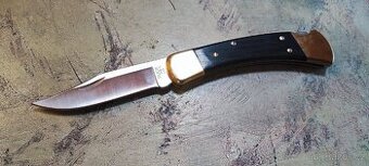 BUCK 110 folding hunter