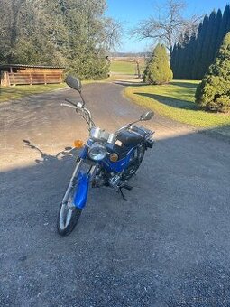 Jawa betka (champ 50)