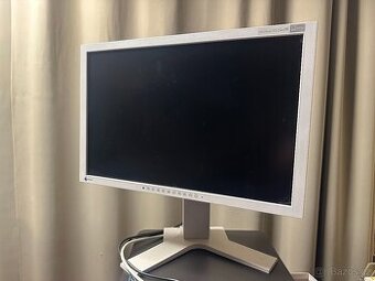 Eizo FlexScan SX2461W 24" šedý
