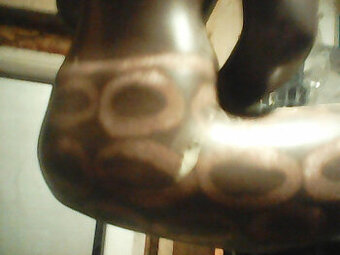 keramicka-socha-egyptanka ze zadu lechce ťuknuta-cena 400 kč