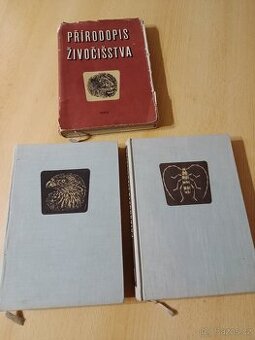 Přírodopis živočišstva, Velký obrazový atlas zvířat, Kočka