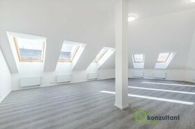 Pronájem byty 1+kk, 47 m2 - Brno - Veveří, ev.č. 00434