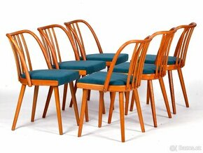 6x židle A. Šuman, nové čalounění, 1970. - 1