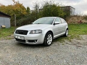 Audi A3 8P 1.9 TDI - 1