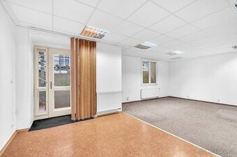 Nabízíme k pronájmu obchodní prostory 76 m2, na rozhraní Vin