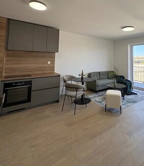 Pronajem novýho apartmanu v Praze 7 Holešovice - 1