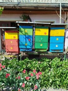 Včelí úly a včelstvo