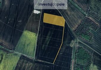 Prodej pole v k.ú. Medlice - 1