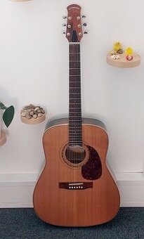 Akustická kytara Schneider r. 2014