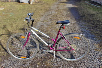 Dámské kolo Author Thema