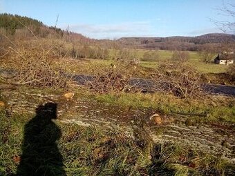 Klest topol za odvoz