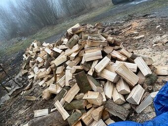 Suché palivové dřevo