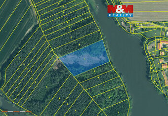 Prodej lesa, 11302 m², Borovany