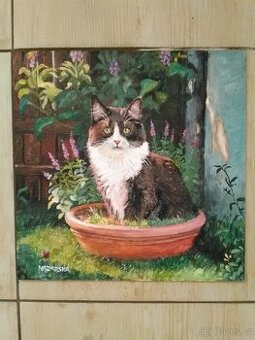 Kočka v květináči