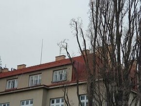 Prodám byt 2+1 Praha 6, Dejvice. 80,8m² - 1
