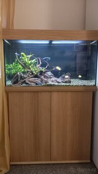 Akvárium Juwel Rio 125 l v rezervaci do 11.10.