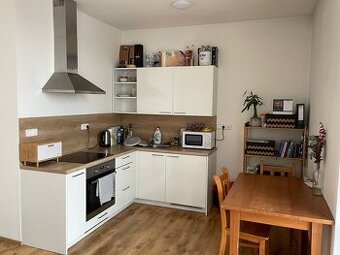 Pronájem světlého slunného bytu 1+kk v Třebíči