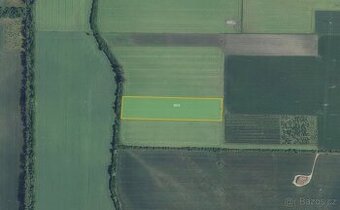 Zemědělská půda, prodej, Bavory, Břeclav
