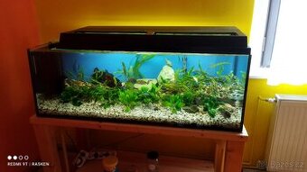Akvárium vybavené