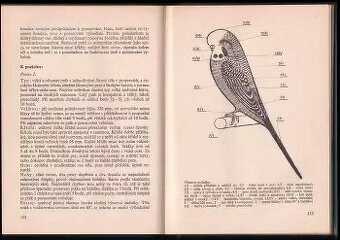 Standard cizokrajného ptactva - autor Walter Wiener