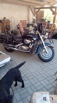 Suzuki intruder c800