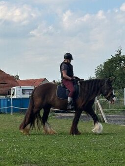 Hledám pony