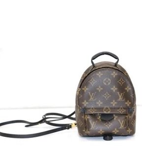Batoh Louis Vuitton Palm Springs mini