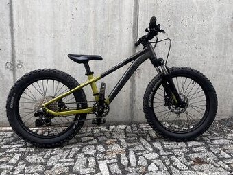 Rocky Mountain Growler 20”