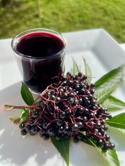 Čerstvý domácí bezinkový likér