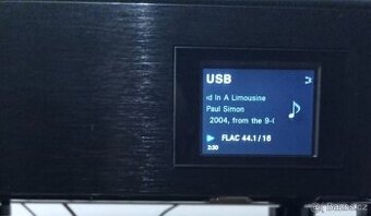 PIONEER N 30 s CASEA LYNX DAC(XLR)