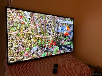 4K UHD LED Smart Televize Philips 55PUS6503 - 139 cm - Wifi