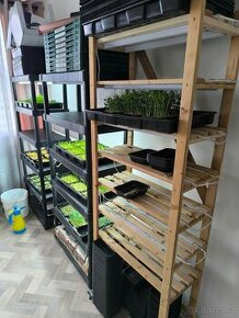 Regál na Microgreen