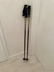 lyžařské hůlky 104 cm