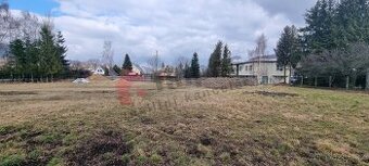 Pronájem pozemku 3652 m2 Česká Ves, okres Jeseník - 1