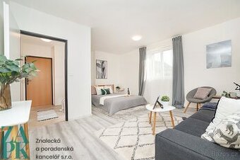 Pronájem bytu 1+kk, Ústí nad Labem - Střekov, ev.č. 00839
