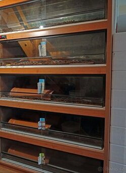 Terária viz foto - čtěte prosím celý text