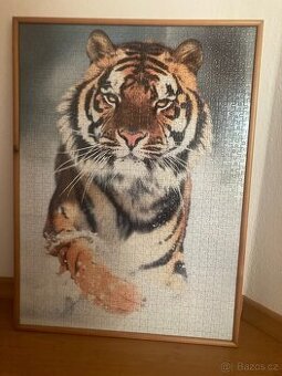 Obraz puzzle 50x65, zasklený