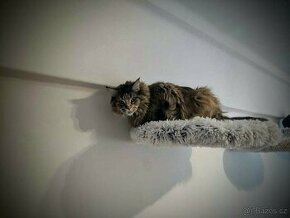 Kočičí plochy na zeď, odpočivadlo , škrabadlo,bydlo