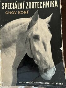 speciální zootechnika chov koni