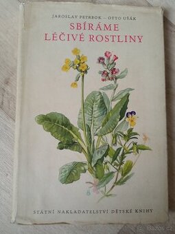 Léčivé rostliny - 1
