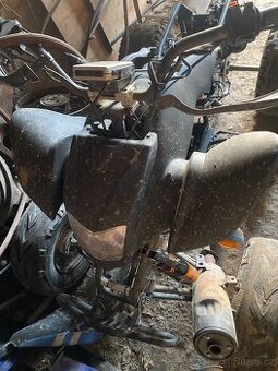 Bashan 200 - 1