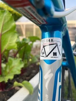 Specialized